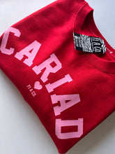 Load image into Gallery viewer, CARIAD sweater/hoods
