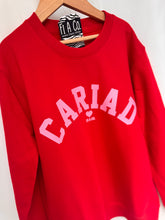 Load image into Gallery viewer, &quot;CARIAD&quot; sweater
