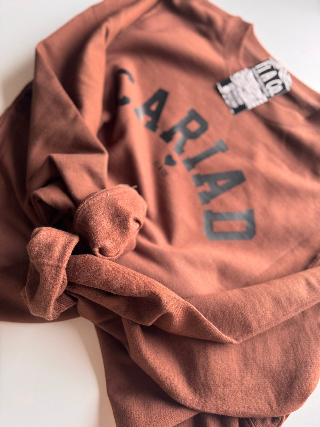 CARIAD brown sweater